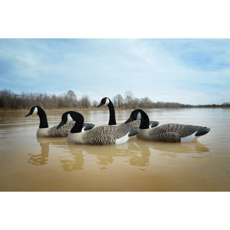 Higdon Full Size Goose Floater Canada Foam Filled