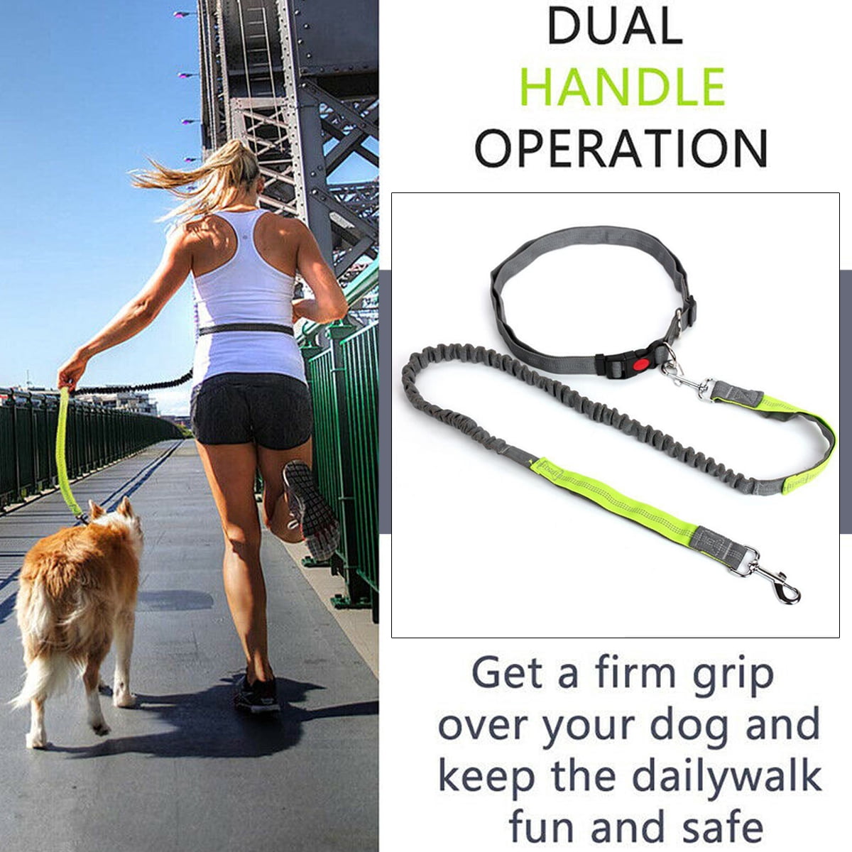 dual retractable leash for small dogs
