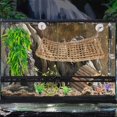thumbnail image 3 of Juego de 10 accesorios para tanques de reptiles RUNANIA Bearded Dragon, 3 of 6