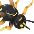 thumbnail image 4 of Wasp Bee Growth Cycle Model Early Educational Simulation Insect Animals Model for Kids Gifts, 4 of 4
