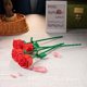 thumbnail image 5 of Juguete de bloques de construcción de rosas y flores eternas, Compatible con decoración de ensamblaje, regalo del Día del Maestro del Día de San Valentín para niña, 5 of 5