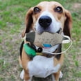 thumbnail image 4 of Dead Duck Dummy Bumper for Outdoor Training Waterfowl Retriever, 4 of 5