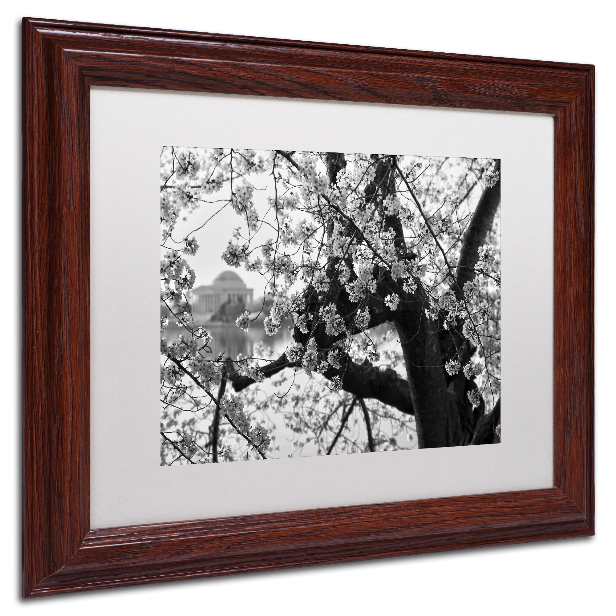 "Blossoms BW" Canvas Art by CATeyes, White Matte, Wood Frame