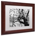 thumbnail image 3 of "Blossoms BW" Canvas Art by CATeyes, White Matte, Wood Frame, 3 of 4