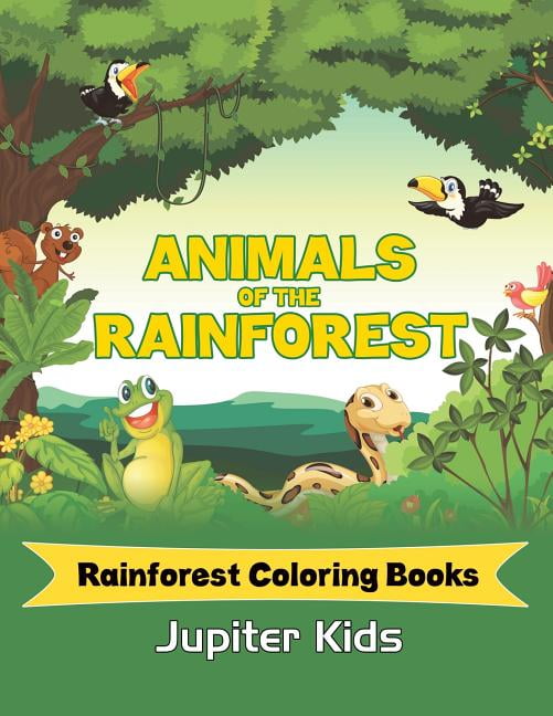 Animals Of The Rainforest : Rainforest Coloring Books (Paperback