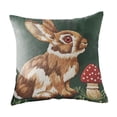 thumbnail image 2 of Housse de Coussin de Sofa Imprimée pour Décoration de Salon Série Simples Housse d'Oreiller de Pâques Mignons Lapins Housse de Coussin de Sofa Imprimée Décoration de Fête, 2 of 7