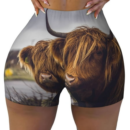 Workout Shorts Women  Yak (9) Biker Shorts for Women Running Gym Spandex Shorts Tummy Control