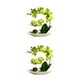 thumbnail image 3 of Orquídeas Artificiales Inteprter Plantas En Maceta Cuenco Blanco 2Conjunto Verde, 3 of 6