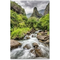 Trademark Fine Art 'Iao Valley Maui' Canvas Art by Pierre Leclerc