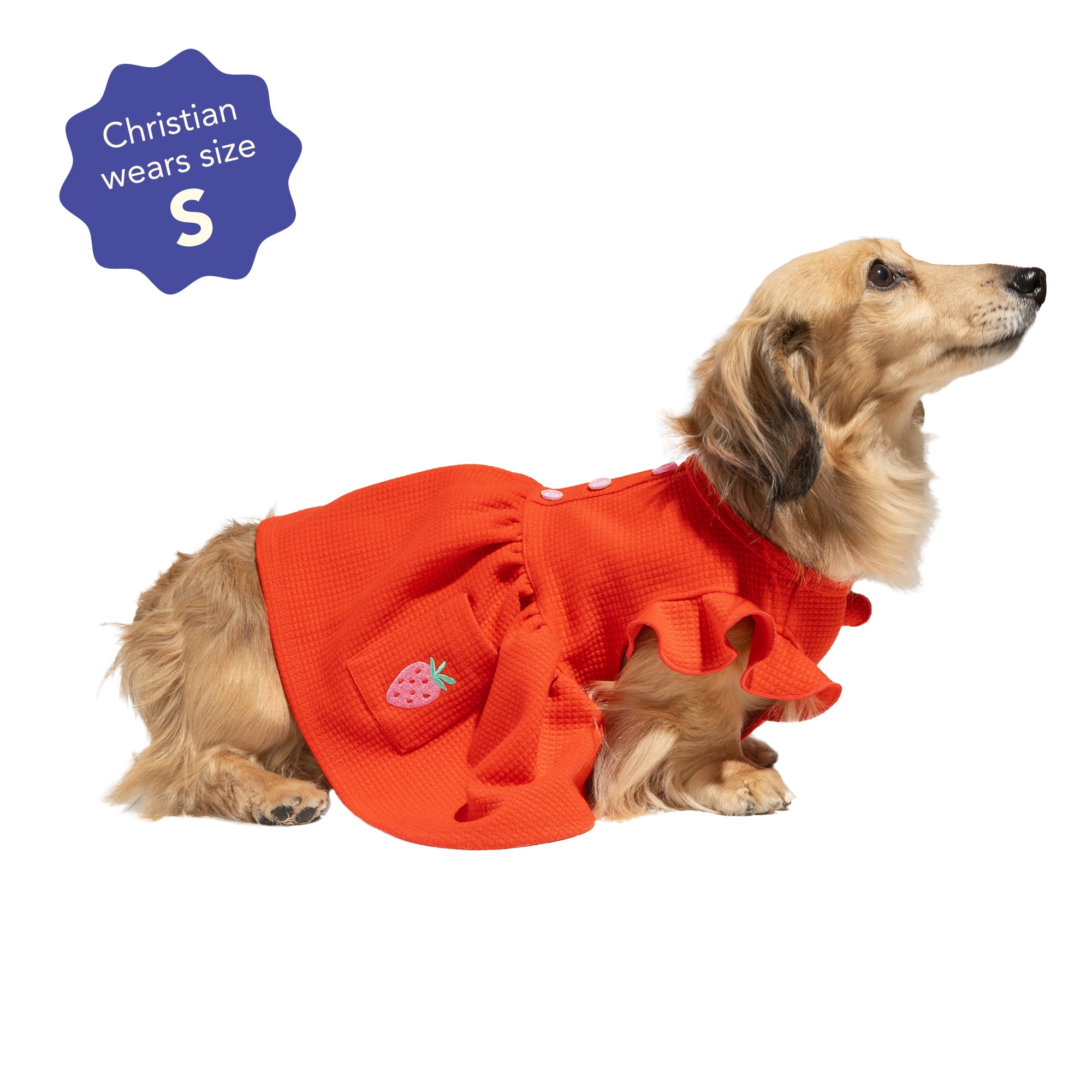 Oodles Sweet Strawberry Flutter Dog Dress, Red, Medium