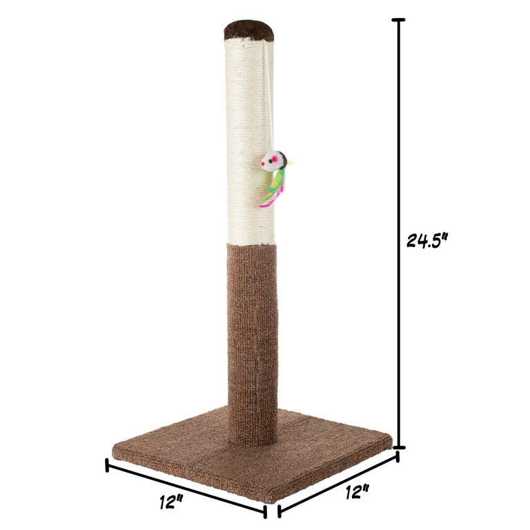 Whisker city top hammock and scratcher