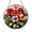 Acrylic 3.5 Inch, variant on Floral Geranium Glass Suncatcher Window Decor, Stained Glass Effect Botanical Artwork Gift