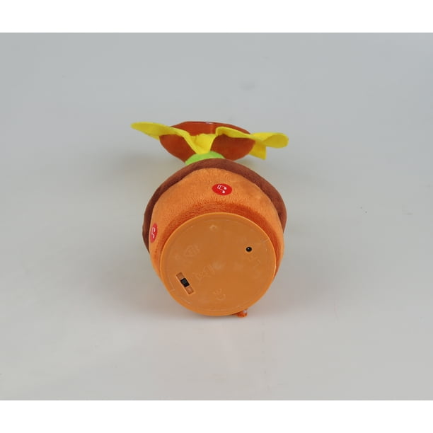 Electronic Pets for Classroom Music & Movement Activities