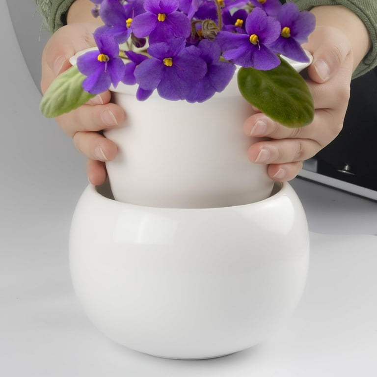 Efispss 6" Self-Watering Ceramic African Violet Pots White Gradient | Minimalist Home Decor