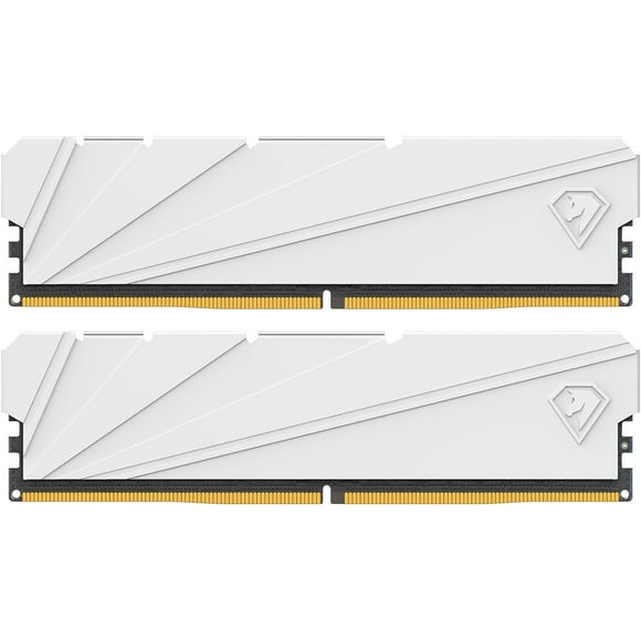 Memoria RAM Netac DDR4 32GB 3200MHz Dual Channel C16