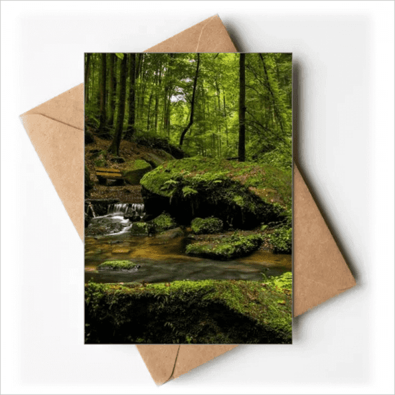 Stream Green Forestry Science Nature Scenery Greeting Cards You are Invited Invitations