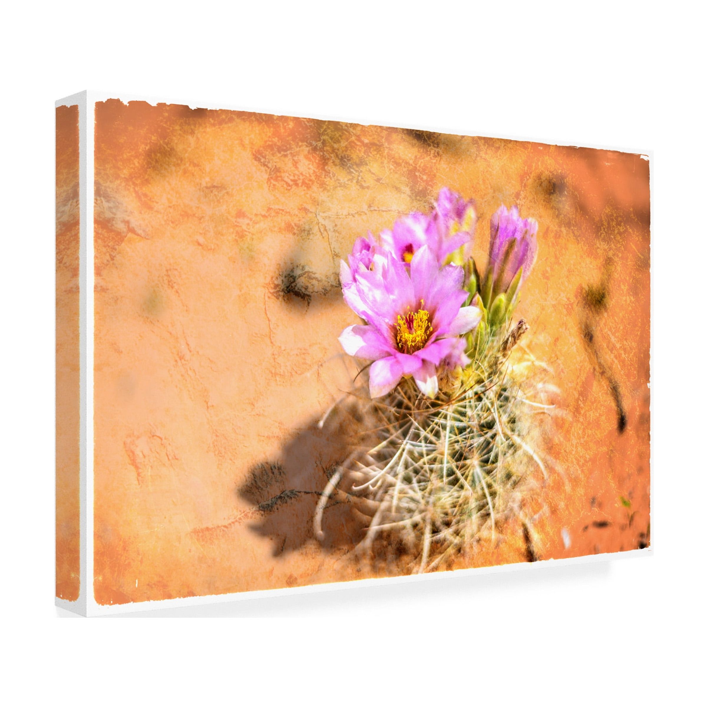 LightBoxJournal 'Desert Flower 4' Canvas Art