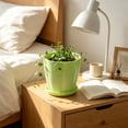 thumbnail image 5 of romoty Flower Petal Shaped Plastic Plant Pot with Saucer Green, 6.3 in Lightweight Decorative Succulent Planter with Drainage Hole for Indoor Outdoor Desk Garden Decor, 5 of 6