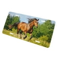 thumbnail image 3 of KAKALAD Horse Runs Gallop On Flower 01 Aluminum Universal Car Vehicles License Plate 6" x 12" (4 Holes), 3 of 9