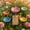 #5PCS-C, variant on Bee Watering Station for Garden Cups Bird Butterfly Bees Ceramic Drinking and Water Bath Feeder Cup Blossoms Flowers Shaped Design Poppies Bowl Wildlife Feeding 5PCS Watring Pollinator (#5PCS-D)