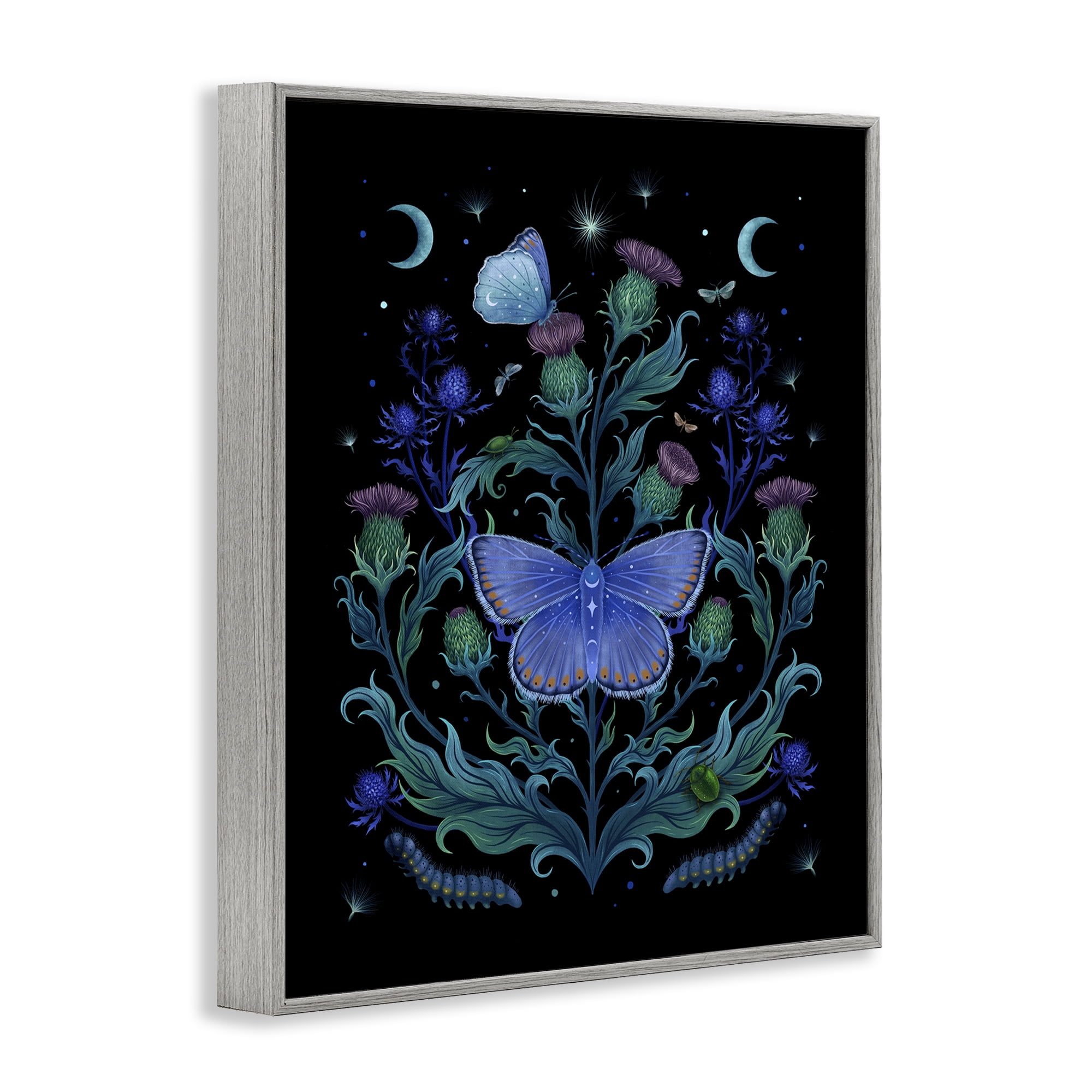 Stupell Industries Thistles & Insects at Night Gray Framed Giclee Art, design by Episodic Drawings