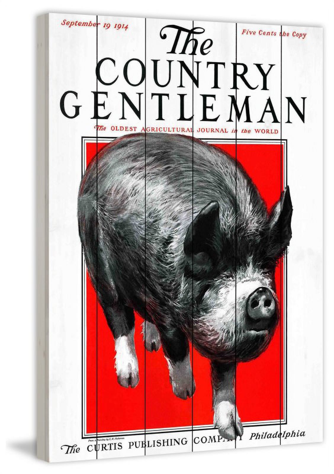 Marmont Hill Inc Marmont Hill - 'CG Pig' Painting Print on White Wood