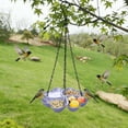 thumbnail image 6 of Hanging Bird Feeder and Waterer Tray, Four-Leaf Clover 4-Compartment Outdoor Feeder for Seeds Fruit Nuts, with Chain Hook for Garden Balcony Tree, 6 of 6