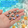thumbnail image 3 of Uxcell Natural Abalone Shell Charm 5 Pcs Square Paua Shell Pendant for Carvings Decoration Mix Colors 12mm, 3 of 6