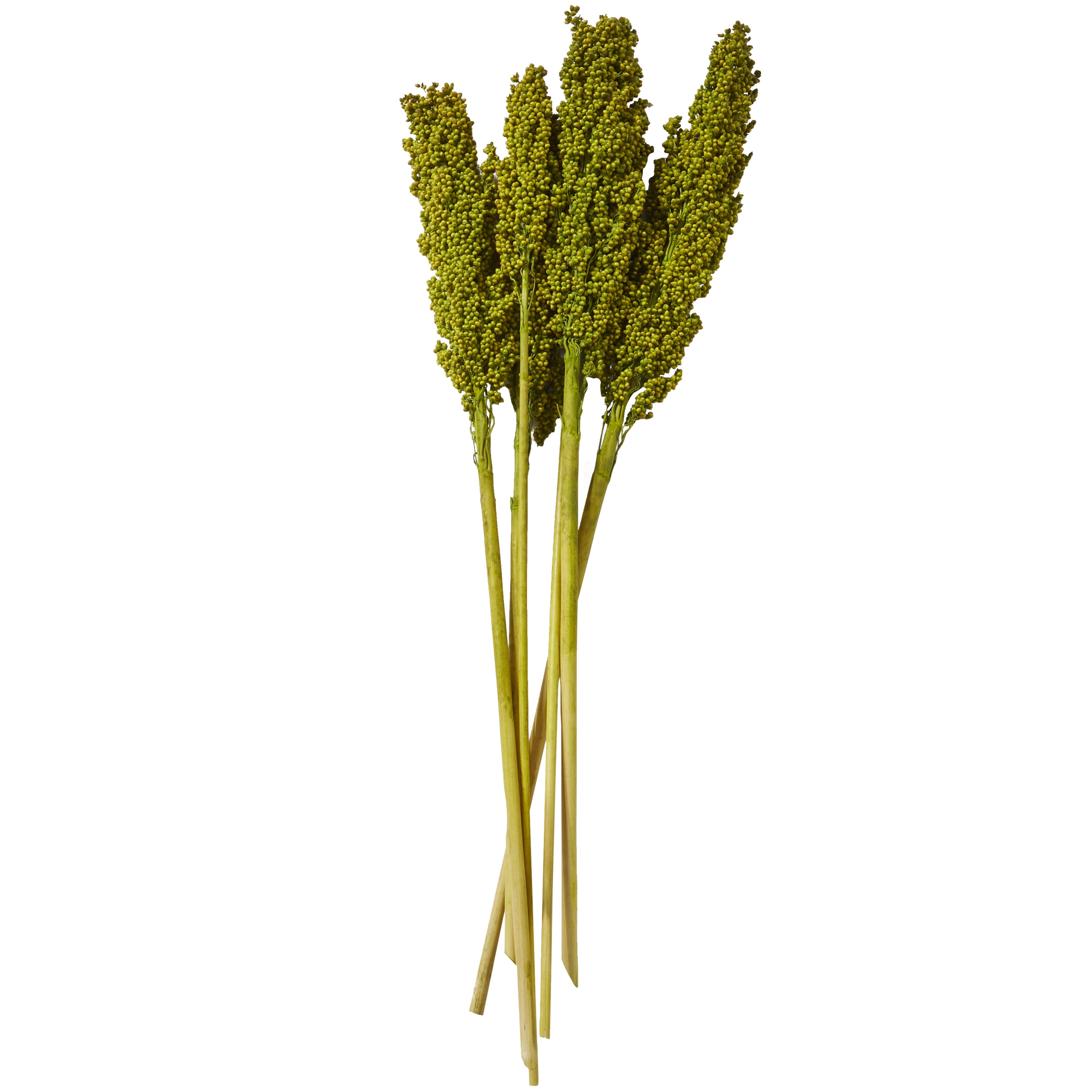 30" Dried Plant Natural Foliage Corn Maze Bouquet with Long Stems, by DecMode