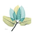 thumbnail image 2 of Art.com FicusBurkey Premium Giclee Print by Albert Koetsier, 24" x 24", 2 of 4