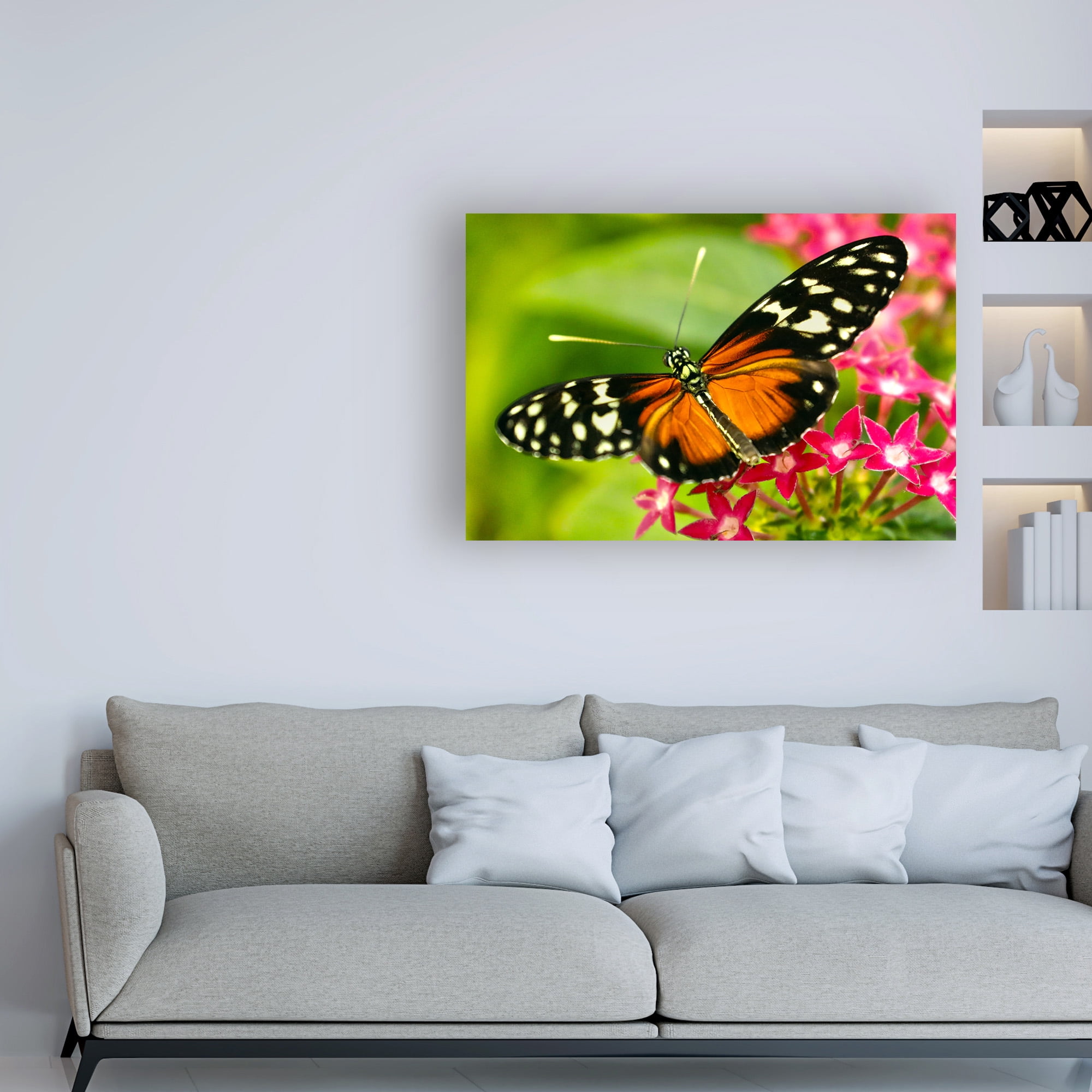 Trademark Fine Art 'Cream Orange Butterfly' Canvas Art by Mitch Catanzaro