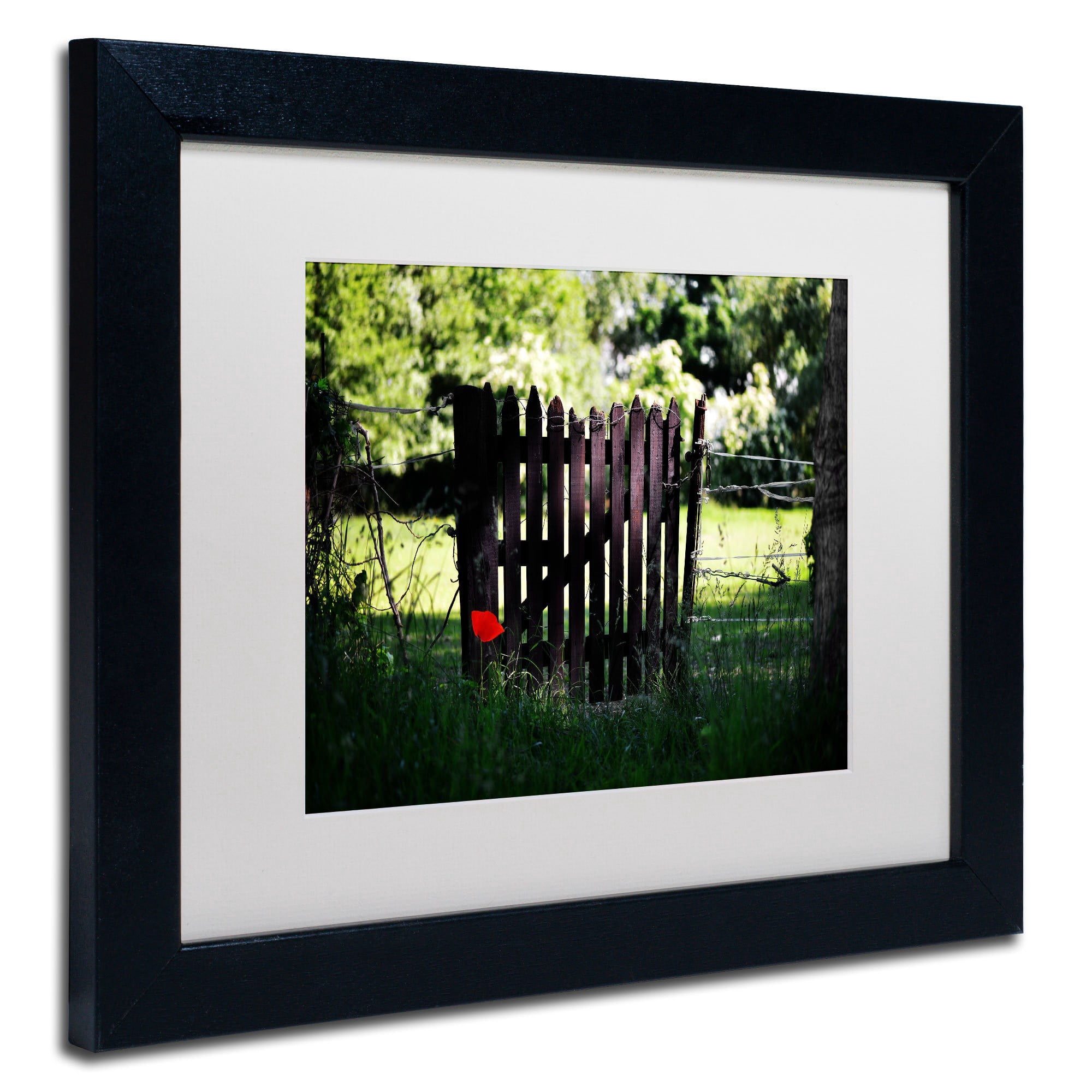 Trademark Fine Art "Press the Red Button" Canvas Art by Philippe Sainte-Laudy, White Matte, Black Frame