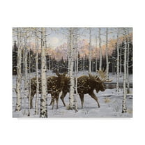 Jeff Tift 'Forest Twilight' Canvas Art