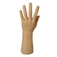 thumbnail image 1 of Brazalete reloj guantes expositor normal Sunnimix maniquí de mano izquierda, 1 of 8