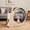 Inner diameter 85cm Wood color, variant on Large Wooden Cat Exercise Wheel for Indoor Cats – Quiet Treadmill, Sisal Scratching Pad, Play Balls, Anti-Slip Wheel, Safe Narrow Gap – Natural Wood, 85cm Inner Diameter