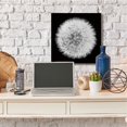 thumbnail image 2 of Stupell Industries Dandelion Floral Fluff Flower Black White Photograph Canvas Wall Art Design by Aledanda, 36" x 36", 2 of 6