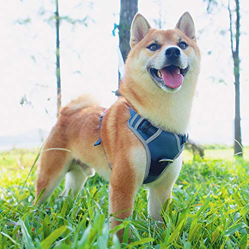 ThinkPet No Pull Harness Breathable Sport Harness with Handle-Dog Harnesses Reflective Adjustable for Medium Large Dogs,Back/Front Clip for Easy Control M Black
