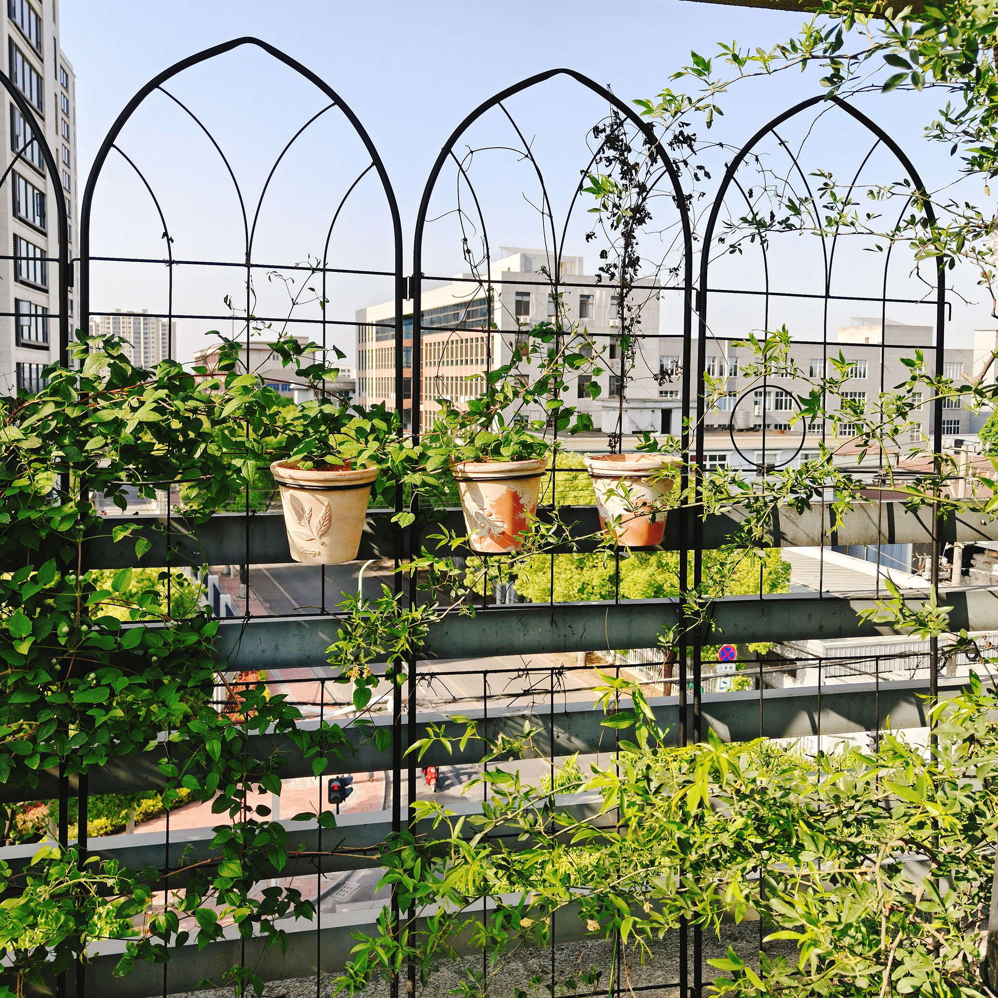 CQSXDA 4 Pack Large Garden Trellis 78.7" H x 19.7" W Heavy Duty Rustproof Black Iron Plant Trellis for Potted Plant Support Metal Climbing Rose Trellis Vine Vegetable Cucumber