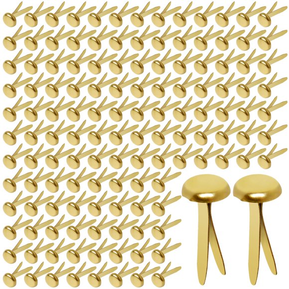 Hapy Shop Paper Fasteners Medium 3/4-Inch Brass Plated Scrapbooking Brads Round Metal Brads for Crafts Making DIY 300 Pack