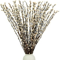 GIXUSIL Natural Dried Pussy Willow Branches,20 Pack Real Pussy Willow Twigs,16 Inch Long Dried Flower with White Buds,Faux Snow Pussy Willow Branches,Vase Fillers for DIY Floral,Home Party Decor