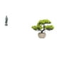 thumbnail image 1 of Adorno De Figura De Guan Yin Con Escultura De árbol Bonsái Artificial, Regalo Tradicional, Estatua De Buda Femenina Y Vegetación Artificial Para Estantería, Armario, Escritorio, Mesa,, 1 of 8
