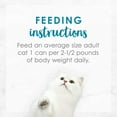 thumbnail image 5 of Purina Fancy Feast Medleys Turkey Florentine With Garden Greens in a Delicate Sauce Adult Wet Cat Food, 3 Ounce (Pack of 24), 5 of 7