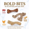 thumbnail image 4 of Set de juguetes masticables Nylabone Puppy Gourmet Style para cachorros, 4 of 9