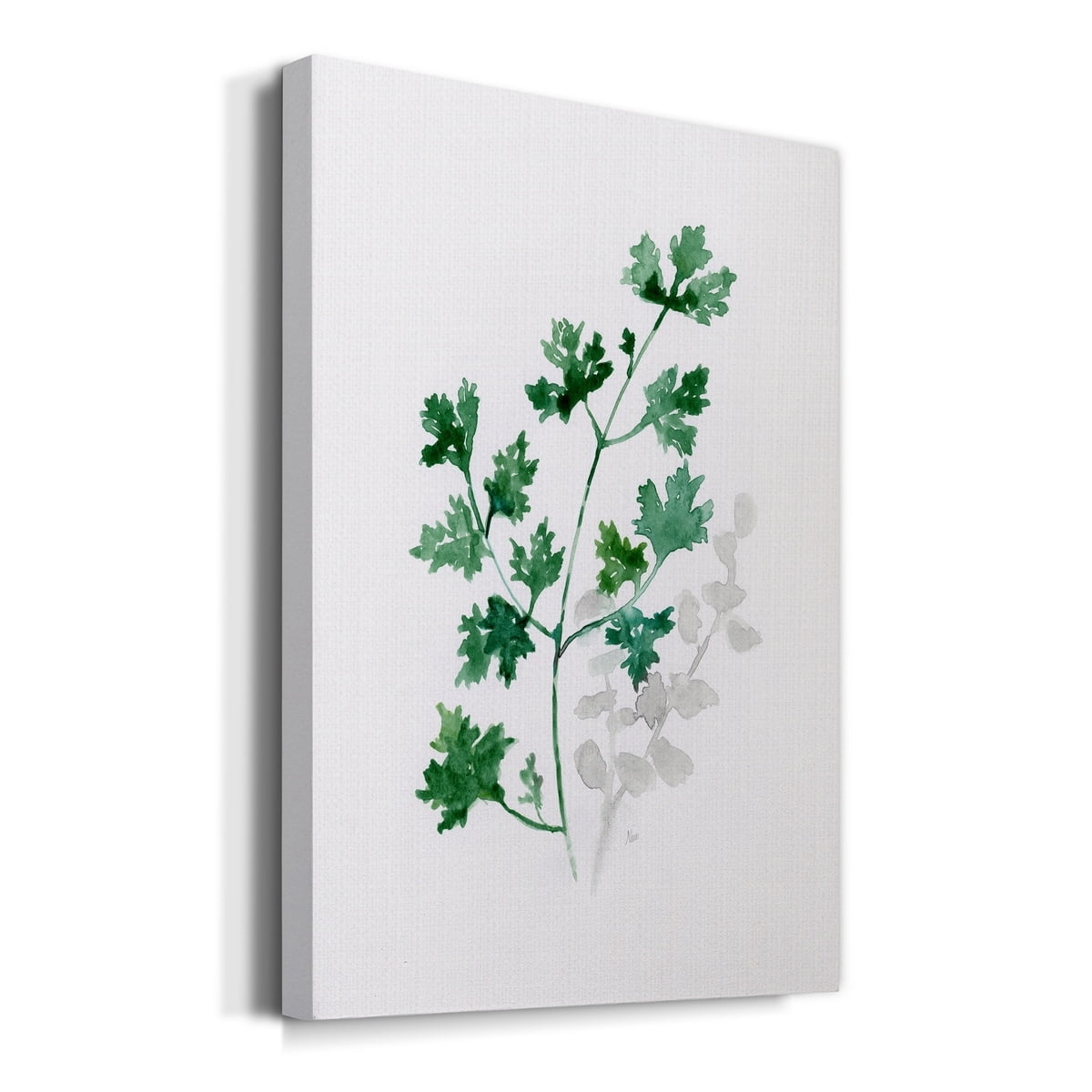 Freshly Picked I Premium Gallery Wrapped Canvas - Ready to Hang - 8 x 12