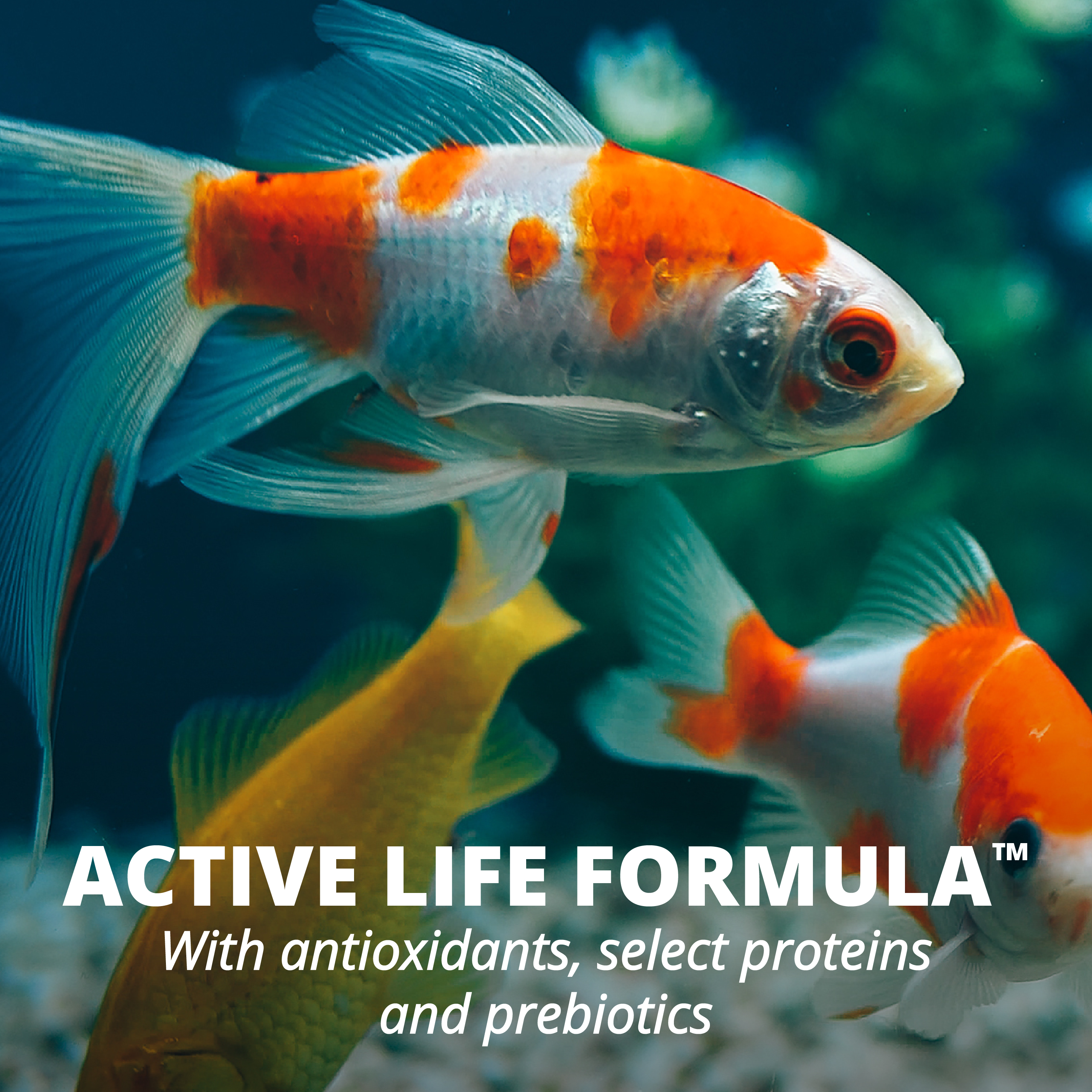 Tetra TetraFin Goldfish Flakes Fish Food photo 3