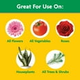 thumbnail image 5 of Miracle-Gro Water Soluble All Purpose Plant Food, For All Plant Types, 10 lb., 5 of 13