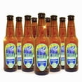 thumbnail image 1 of 12 Pack Cerveza Artesanal Wendlandt Tuna Turner 355ml C/u Wendlandt IPA, 1 of 1