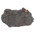 thumbnail image 1 of Dinosaur Simulated Landscape Model Scenes with Diverse Animals and Plants Models for Parent Child Interaction, 1 of 8