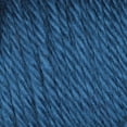 thumbnail image 3 of Caron Acrylic Simply Soft Yarn (170 g/6 oz), Ocean, 3 of 5