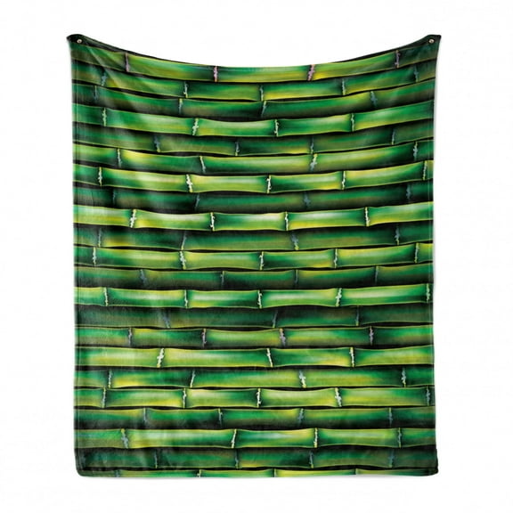 Bamboo Print Soft Flannel Fleece Throw Blanket, Image of Horizontal Bamboo Tree Stems Style Image of Nature Inspired, Cozy Plush for Indoor and Outdoor Use, 50" x 60", Green, by Ambesonne